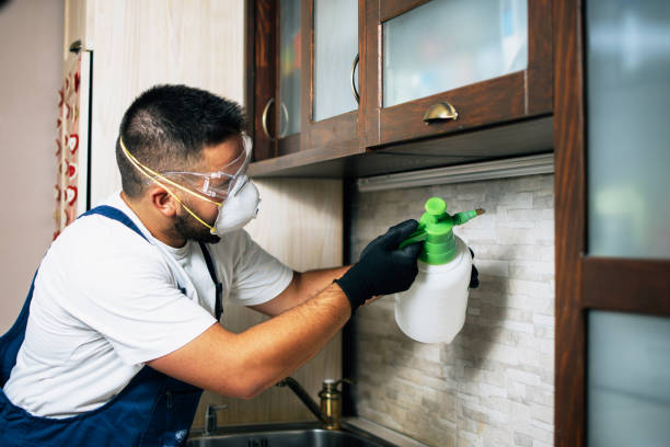 Best Wildlife Control Services  in Ralls, TX