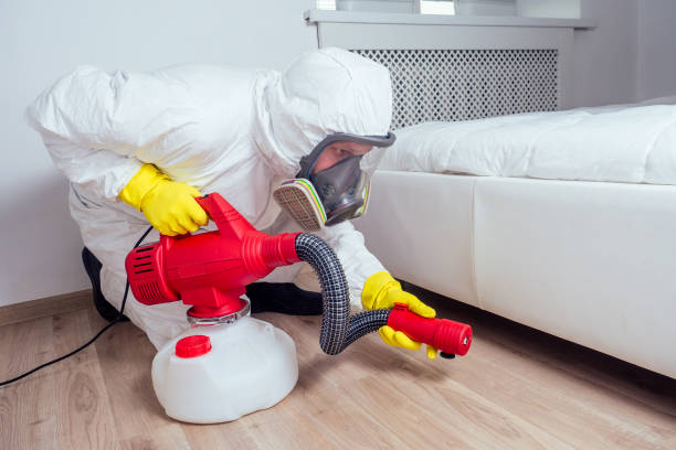 Best Local Pest Control Services  in Ralls, TX