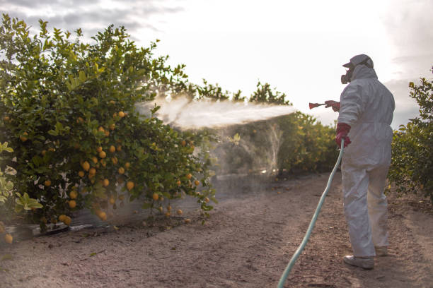 Best Cockroach Control Services  in Ralls, TX