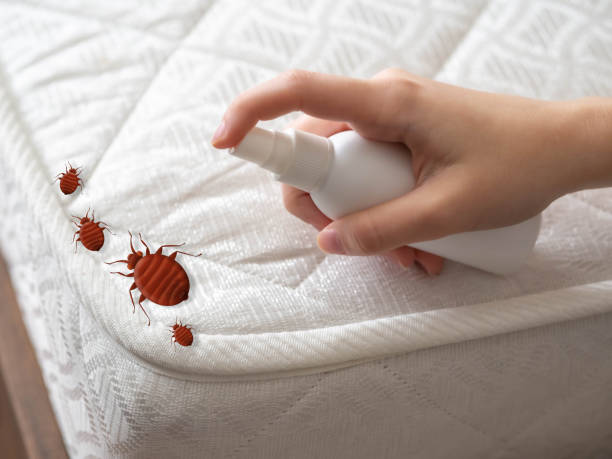 Best Pest Removal Services  in Ralls, TX