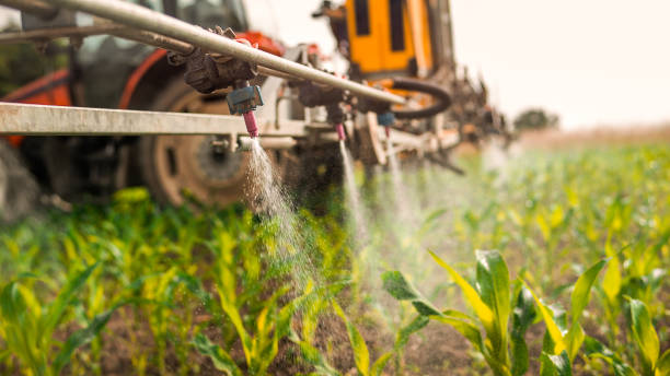 Best Best Pest Control Companies  in Ralls, TX